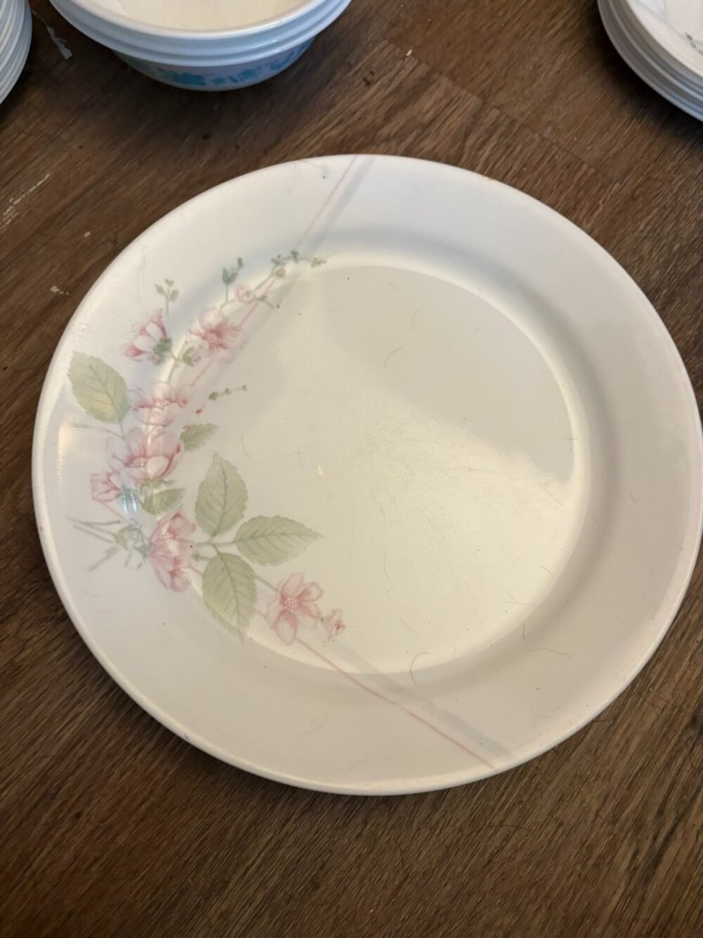 Lot 6 Corelle Veranda Dinner Plates